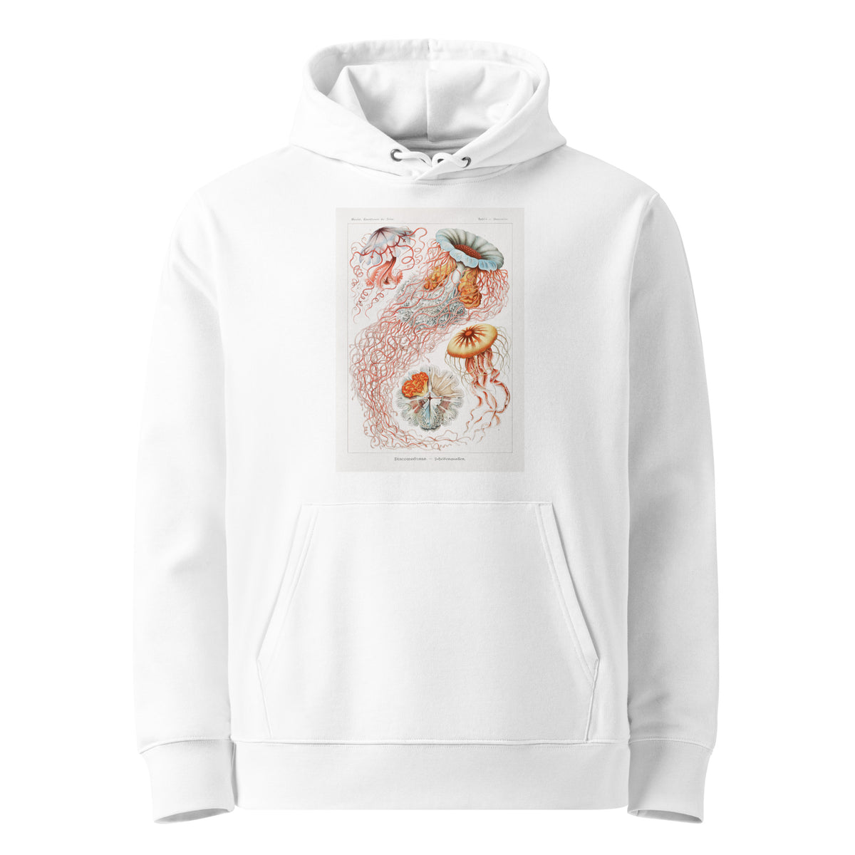 White Hoodie Discomedusae Scheibenquallen Premium