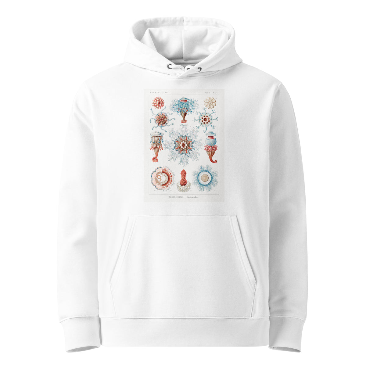 White Hoodie Siphonophorae Staatsquallen Premium