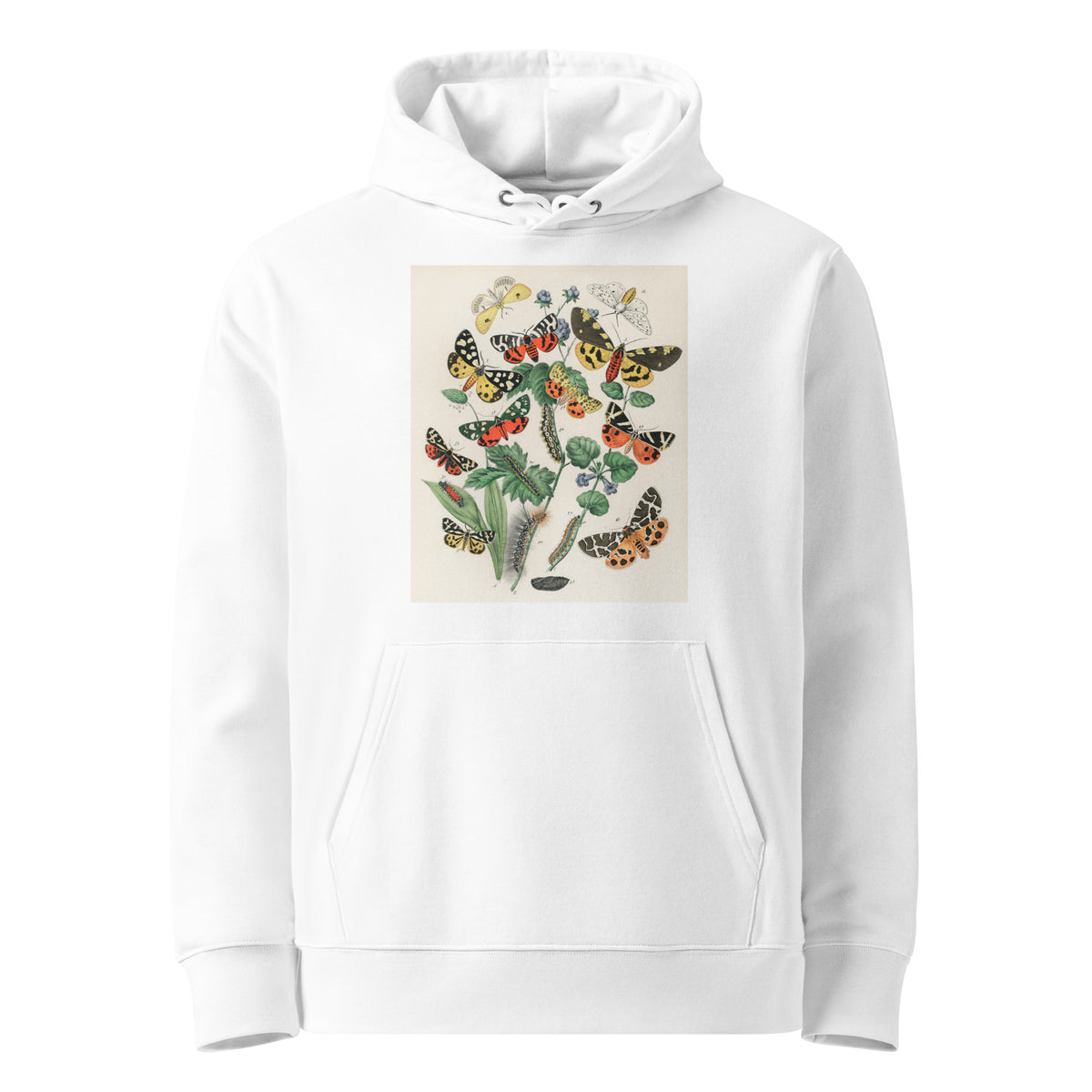 White Hoodie Illustrations - William Forsell Kirby 1882 Premium