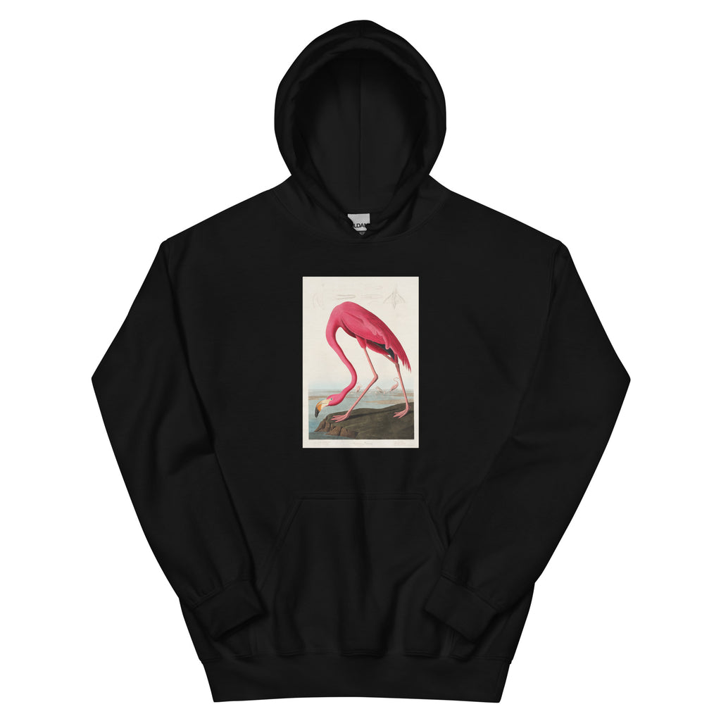 Black Hoodie Pink Flamingo - John James Audubon 1827 Essential