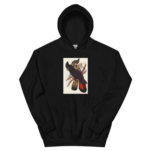 Black Hoodie Banksian Cockatoo Calyptorhynchus Banksii Illustrated - Elizabeth Gould 1804 Essential