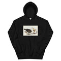 Black Hoodie Black-Eyebrowed Albatros Diomedea Melanophrys Illustrated - Elizabeth Gould 1804 Essential