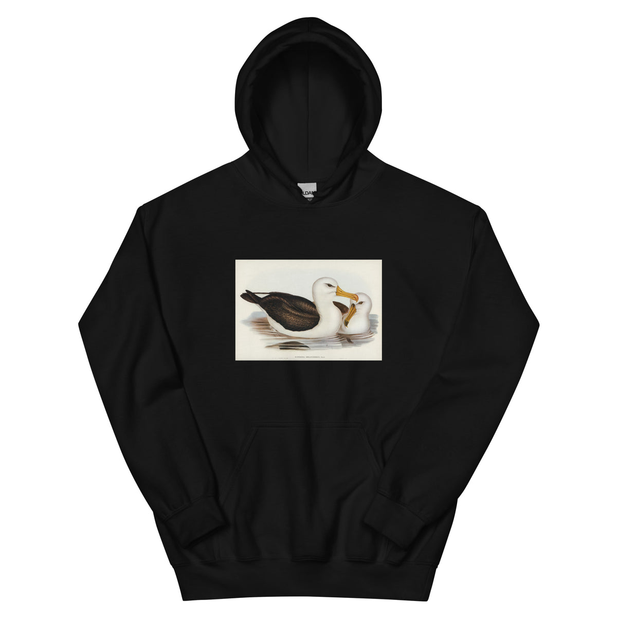 Black Hoodie Black-Eyebrowed Albatros Diomedea Melanophrys Illustrated - Elizabeth Gould 1804 Essential