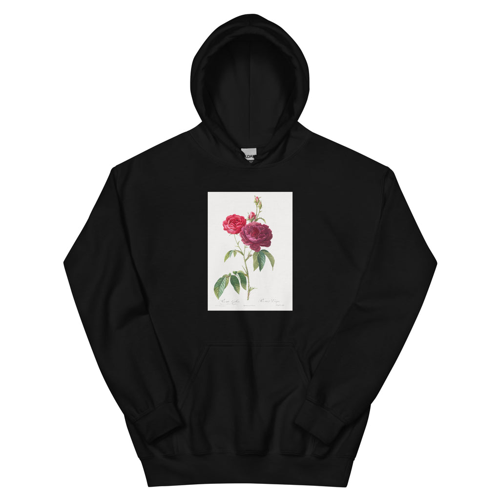 Black Hoodie Purple French Rose Rosa Gallica Purpuro-Violacea Magna Essential