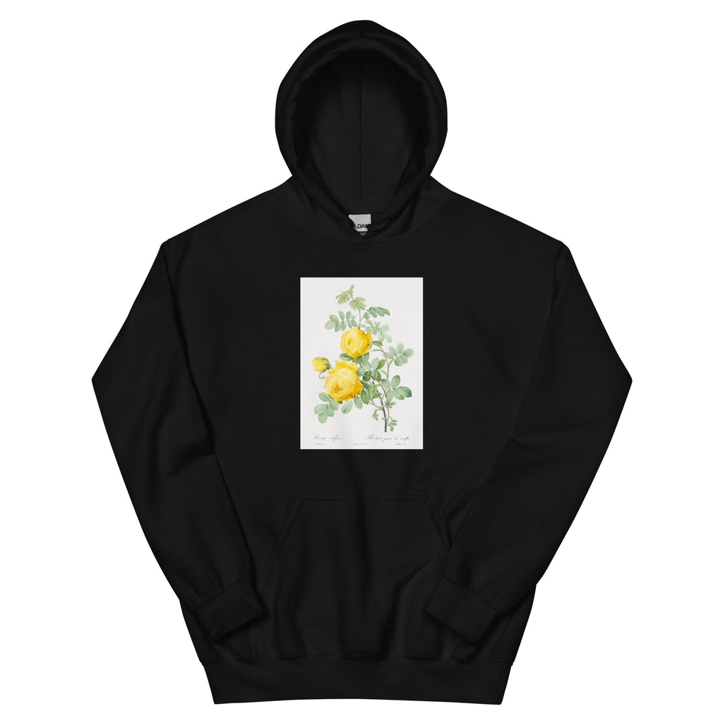 Black Hoodie Rosa Hemisphaerica Also Known As Yellow Rose Of Sulfur Rosa Sulfurea Essential