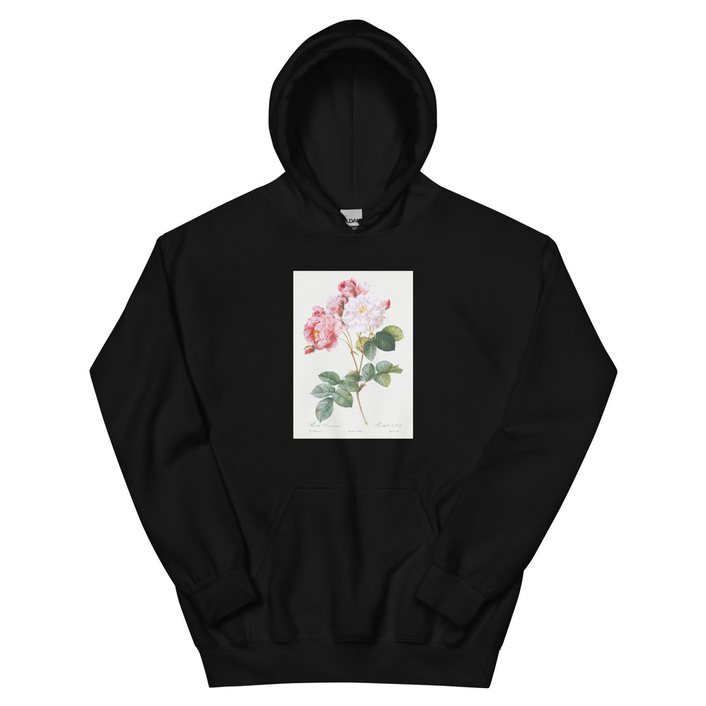 Black Hoodie Rosa Damascena Rosebush Rosa Damascena Essential