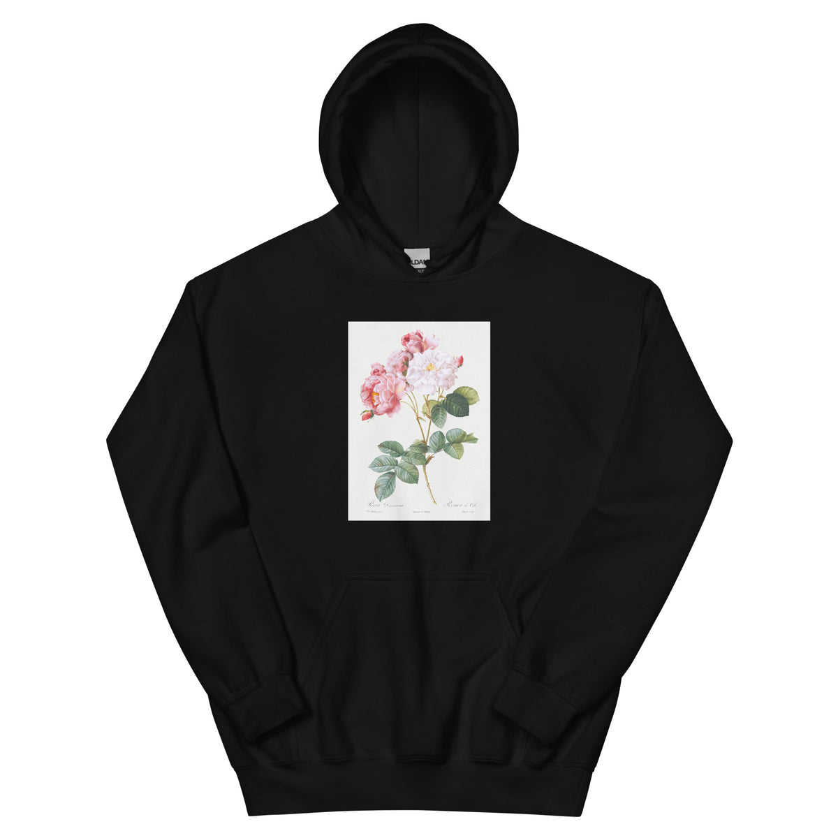 Black Hoodie Rosa Damascena Rosebush Rosa Damascena Essential