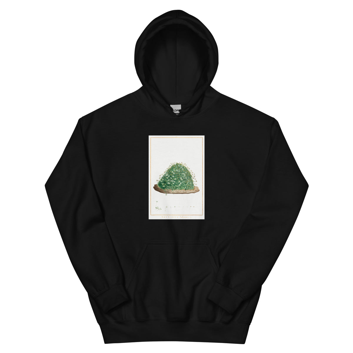 Black Hoodie Arenaria Balearica Image - Pierre-Joseph Redoute And Charles Louis L Heritier 1784 Essential