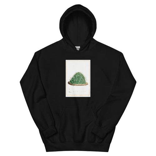 Black Hoodie Arenaria Balearica Image - Pierre-Joseph Redoute And Charles Louis L Heritier 1784 Essential