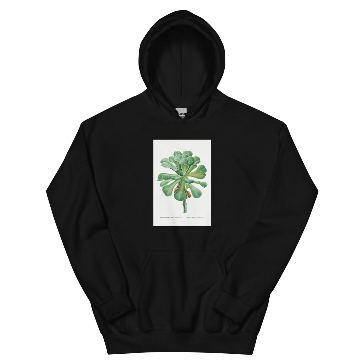 Black Hoodie Sempervivum Canariense Image Essential