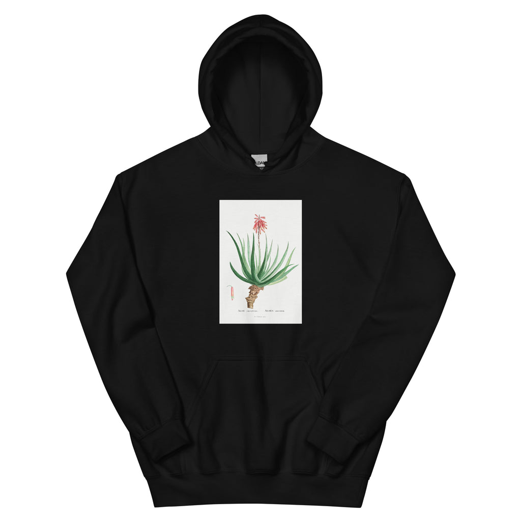 Black Hoodie Aloe Socotrina Image Essential