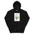 Black Hoodie Aloe Socotrina Image Essential