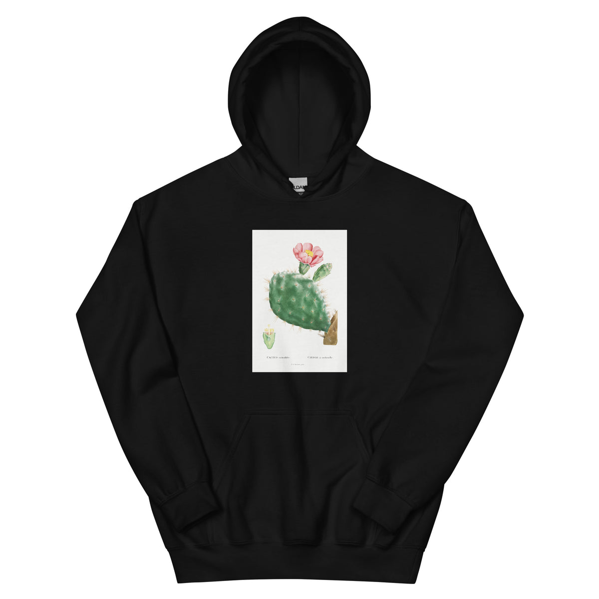 Black Hoodie Cactus Cochenillifer Image Essential