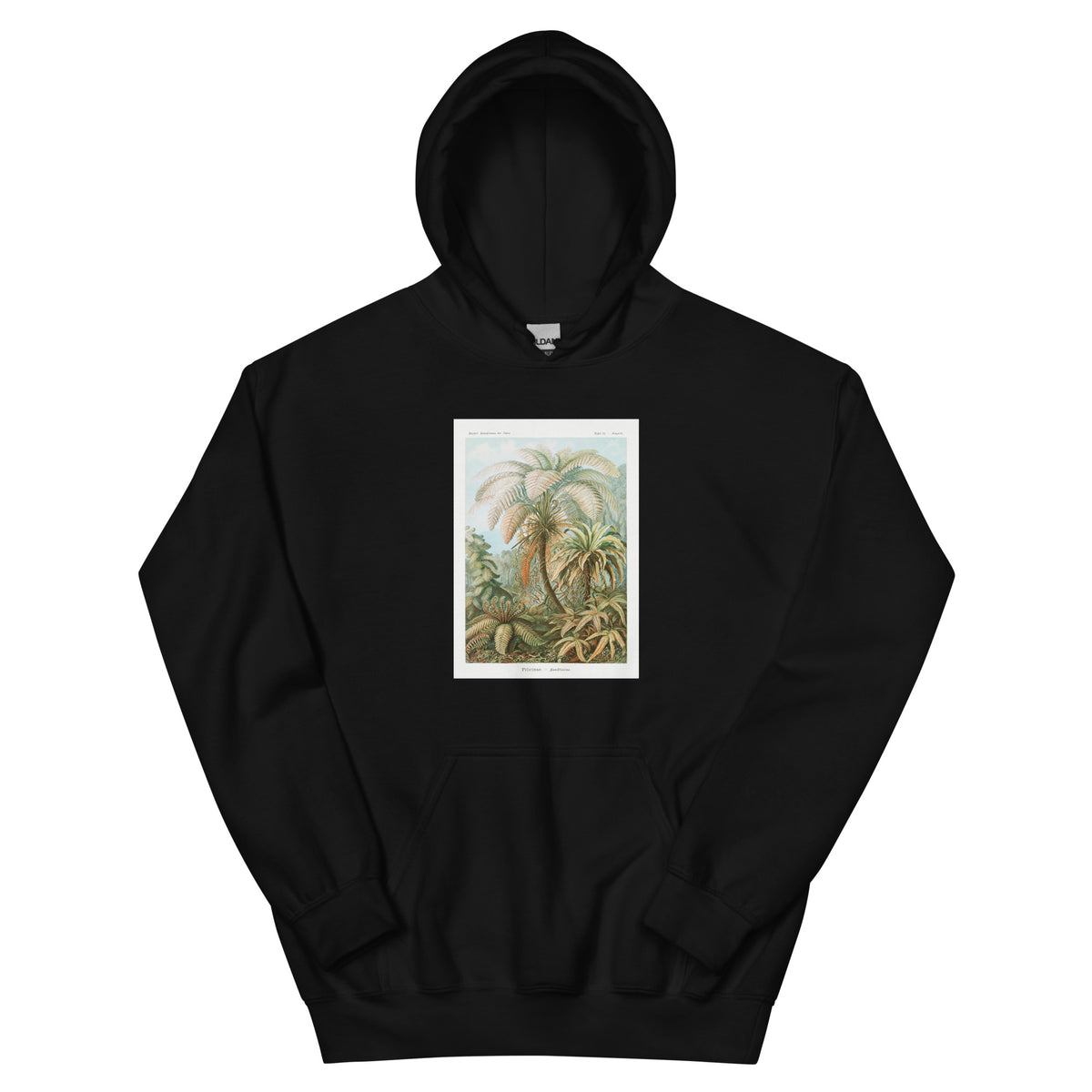 Black Hoodie Filicinae Laubfarne Essential