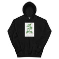 Black Hoodie Tetragonia Expansa New Zealand Spinach Essential