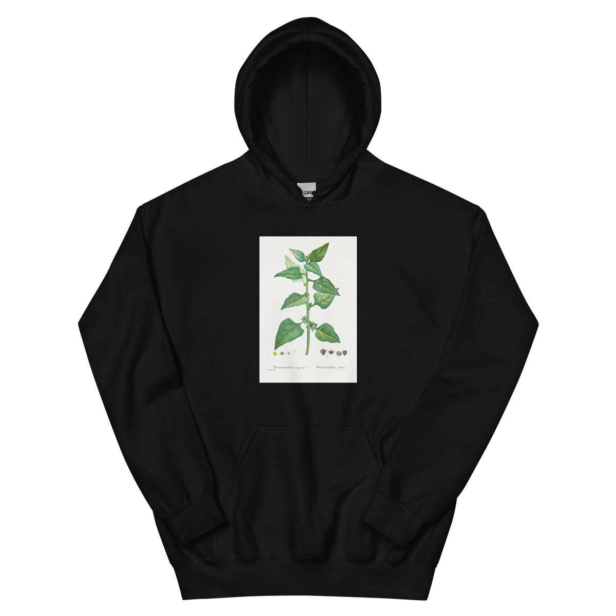 Black Hoodie Tetragonia Expansa New Zealand Spinach Essential