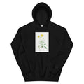 Black Hoodie Mesembryanthemum Helianthoides Spatula Leaved Fig Marigold - Pierre-Joseph 1799 Essential