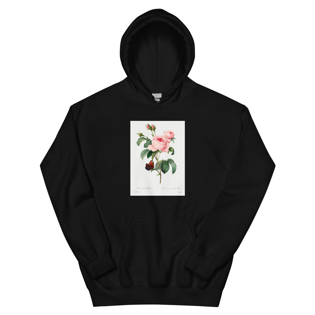 Black Hoodie Cabbage Rose - Pierre-Joseph Redoute 1759 Essential
