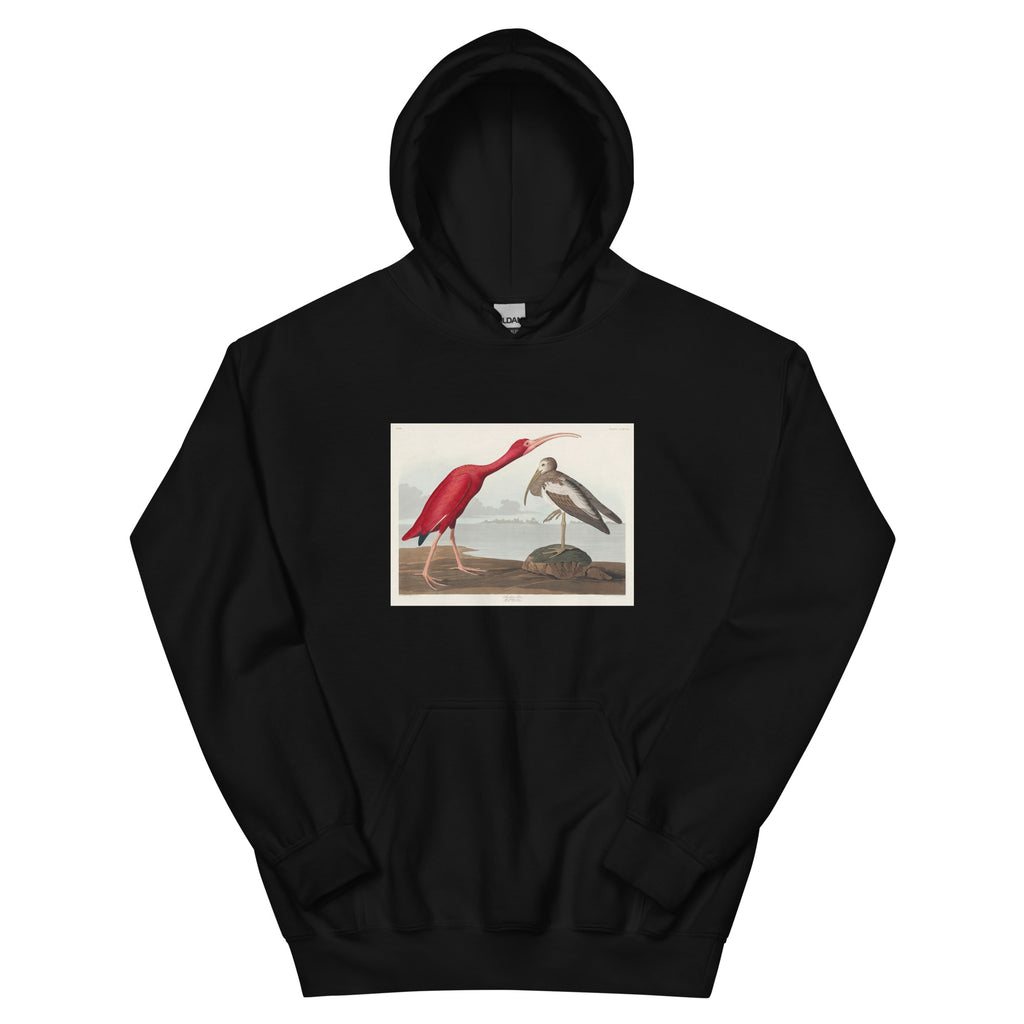 Black Hoodie Scarlet Ibis - John James Audubon 1827 Essential