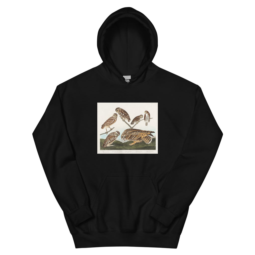 Black Hoodie Burrowing Owl Large-Headed Burrowing Owl Little Night Owl Columbian Owl And Short-Cared Owl - John James Audubon 1827 Essential