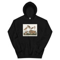 Black Hoodie Burrowing Owl Large-Headed Burrowing Owl Little Night Owl Columbian Owl And Short-Cared Owl - John James Audubon 1827 Essential
