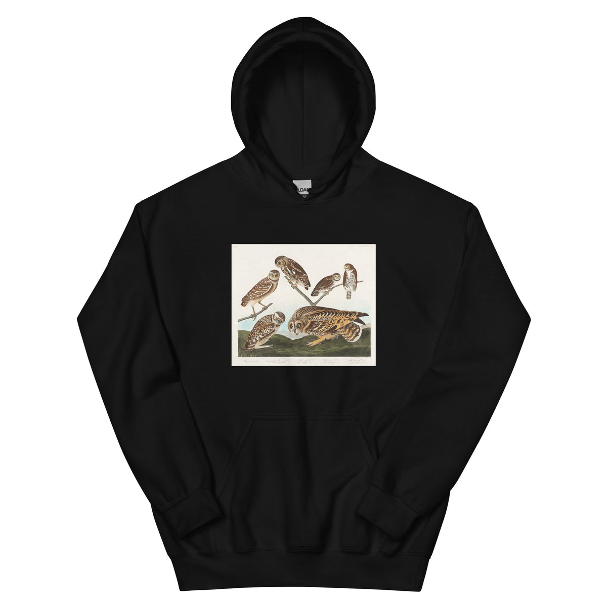 Black Hoodie Burrowing Owl Large-Headed Burrowing Owl Little Night Owl Columbian Owl And Short-Cared Owl - John James Audubon 1827 Essential