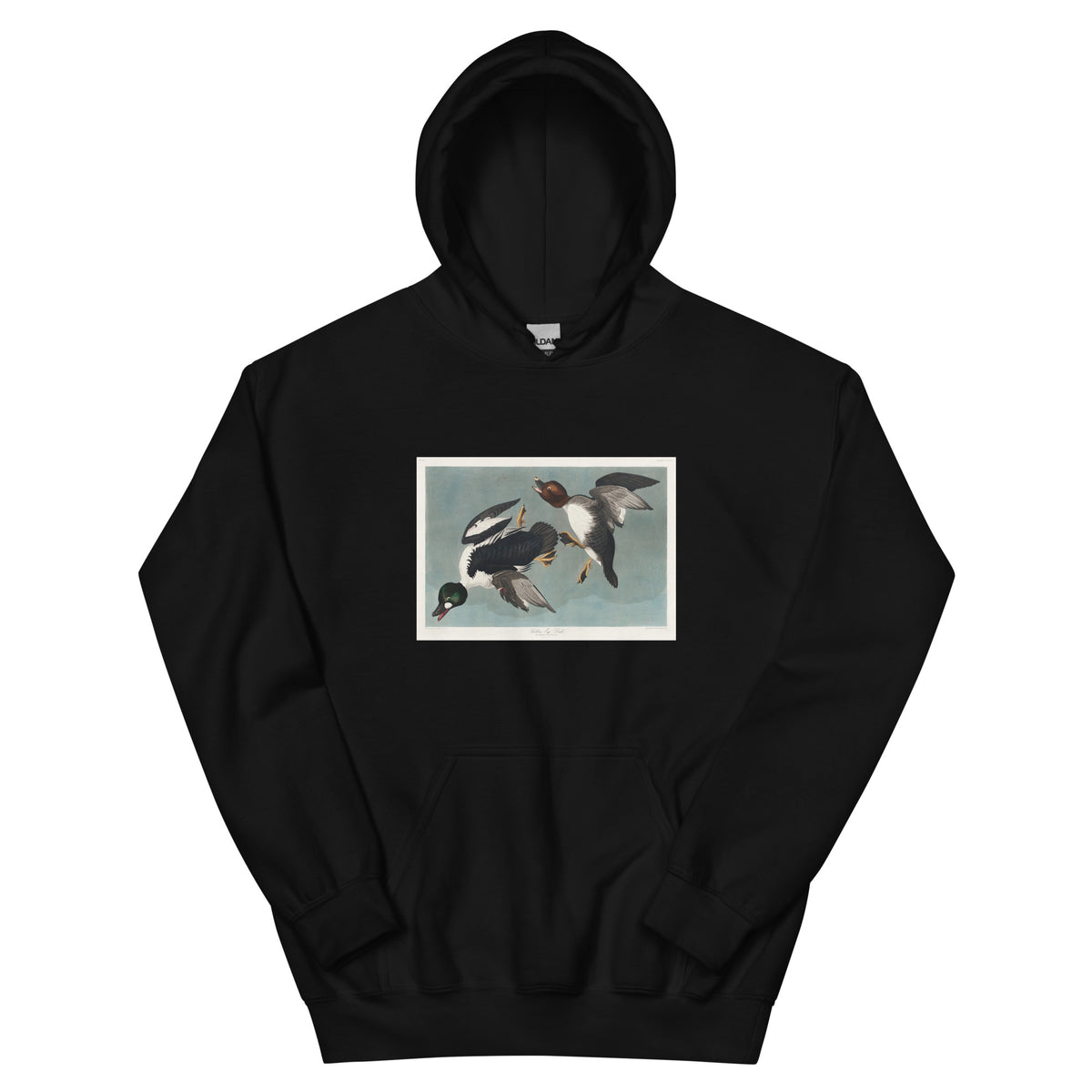 Black Hoodie Golden-Eye Duck Essential