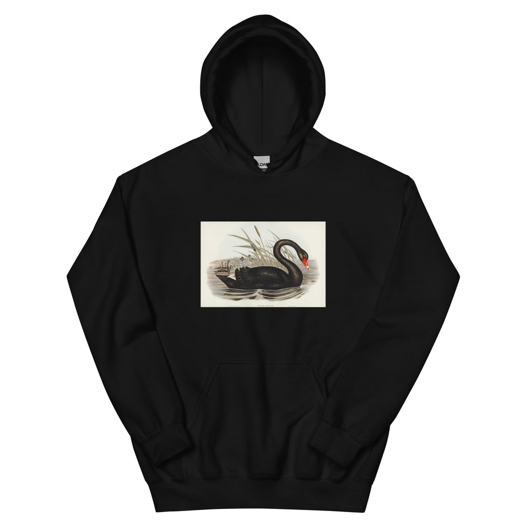 Black Hoodie Black Swan Cygnus Atratus Illustrated - Elizabeth Gould 1804 Essential