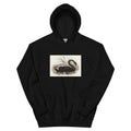 Black Hoodie Black Swan Cygnus Atratus Illustrated - Elizabeth Gould 1804 Essential