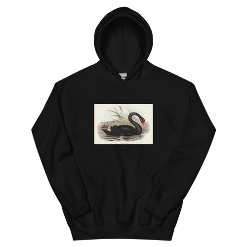 Black Hoodie Black Swan Cygnus Atratus Illustrated - Elizabeth Gould 1804 Essential