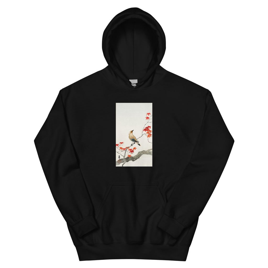 Black Hoodie Japanese Plague Bird On Maple - Ohara Koson 1900 Essential