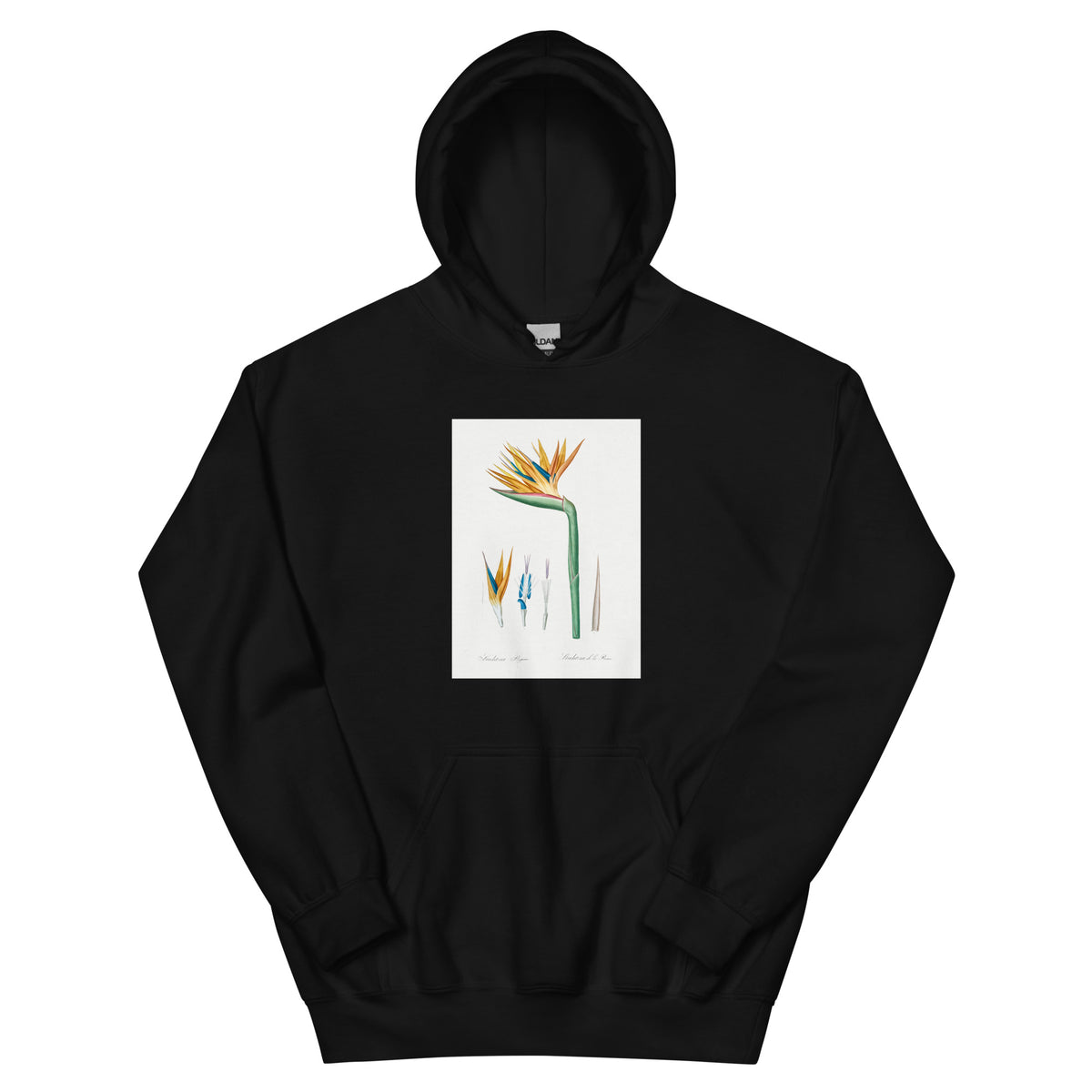 Black Hoodie Bird Of Paradise Illustration Essential