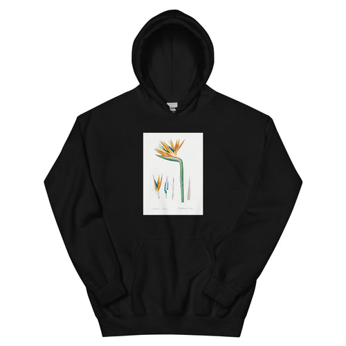Black Hoodie Bird Of Paradise Illustration Essential