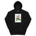 Black Hoodie Cabbage Rose Rosa Centifolia Essential