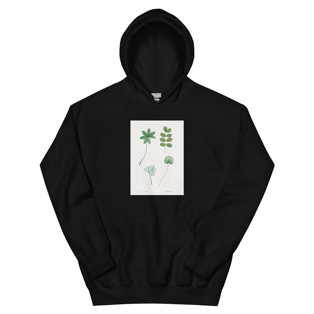 Black Hoodie Tree Leaf Set - Pierre-Joseph Redoute 1759 Essential