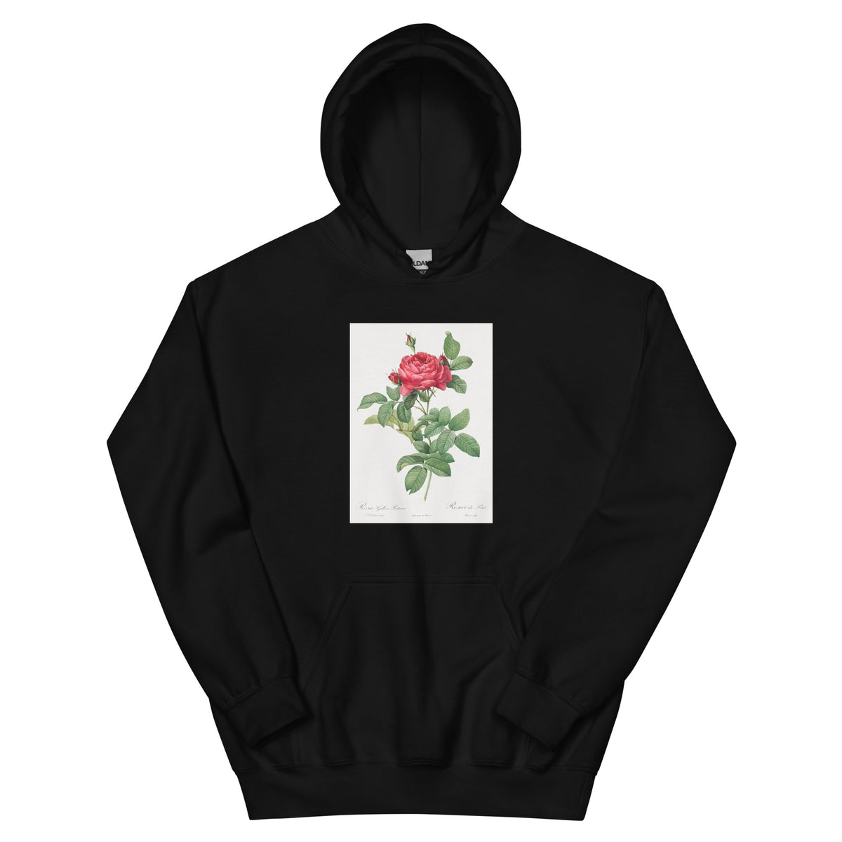 Black Hoodie Rosa Gallica Pontiana Also Known As Bridge Rose Essential