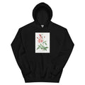 Black Hoodie Old Blush China Also Known As Common Rose Of India Rosa Indica Vulgaris Essential