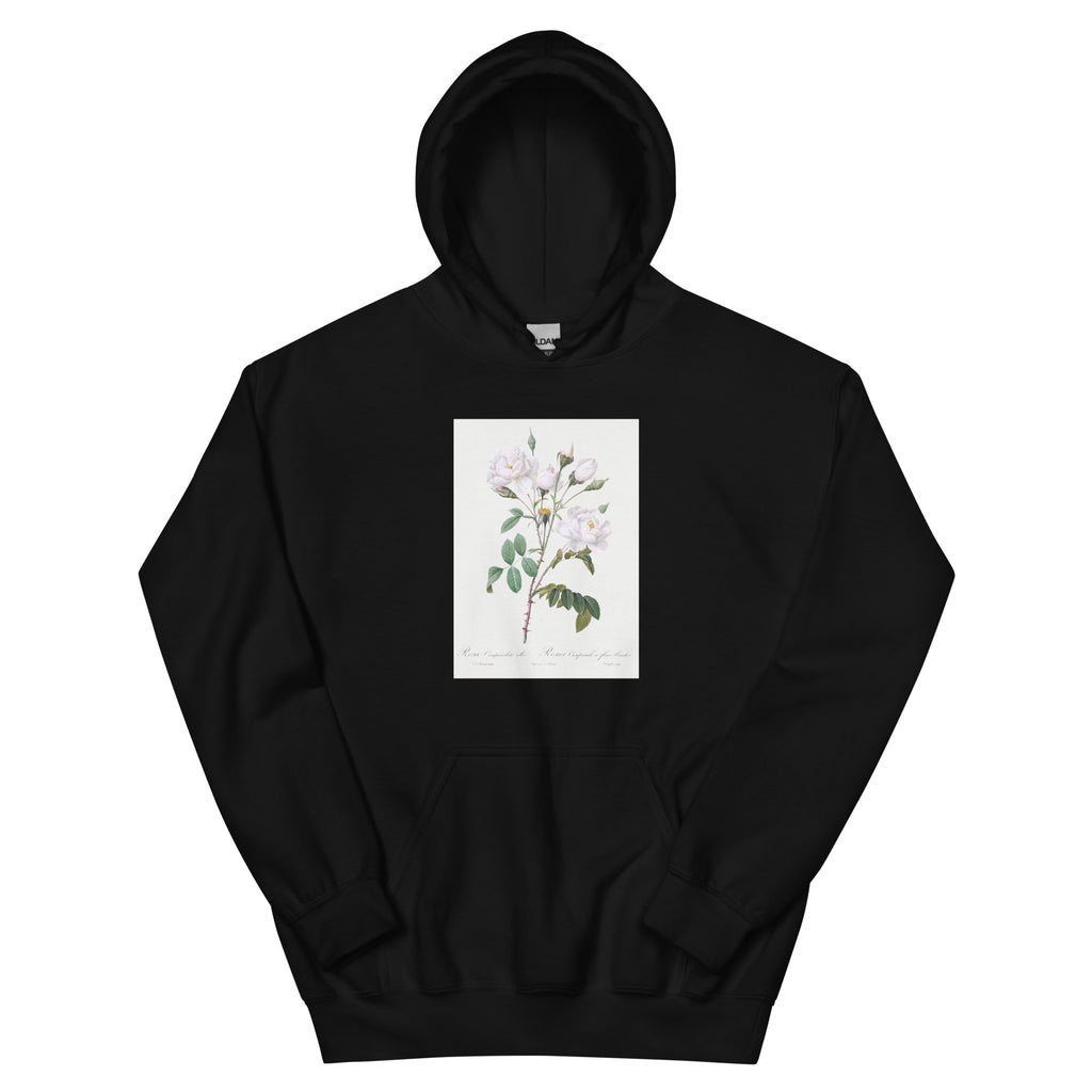 Black Hoodie Rosa Campanulata Alba Also Known As Pink Bellflowers To White Flowers Essential