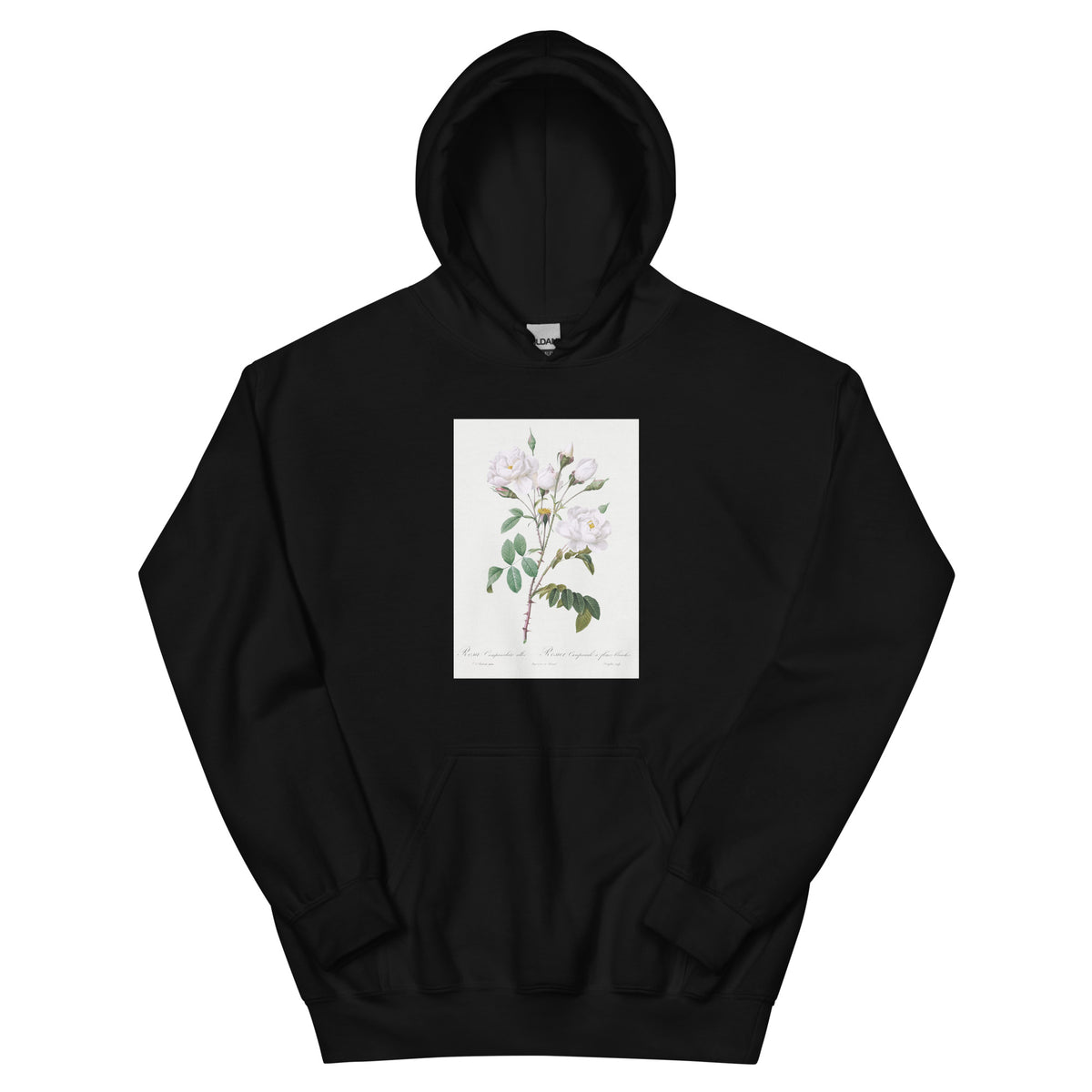 Black Hoodie Rosa Campanulata Alba Also Known As Pink Bellflowers To White Flowers Essential