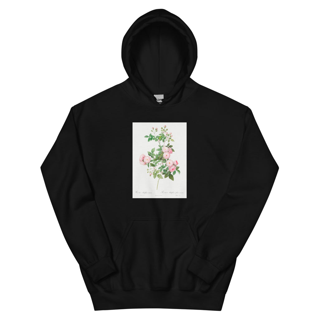 Black Hoodie Flesh-Pink Multiflora Rosa Multiflora Carnea Essential
