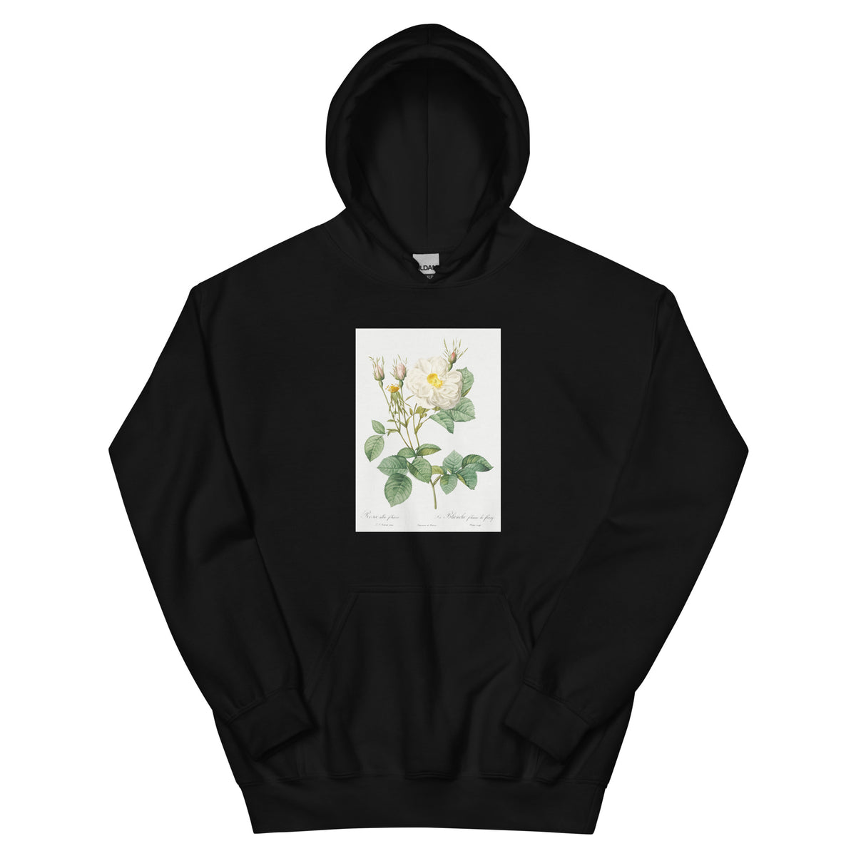 Black Hoodie Rosa X Alba Also Known As The White Leaf Of Fleury Rosa Alba Foliacea Essential