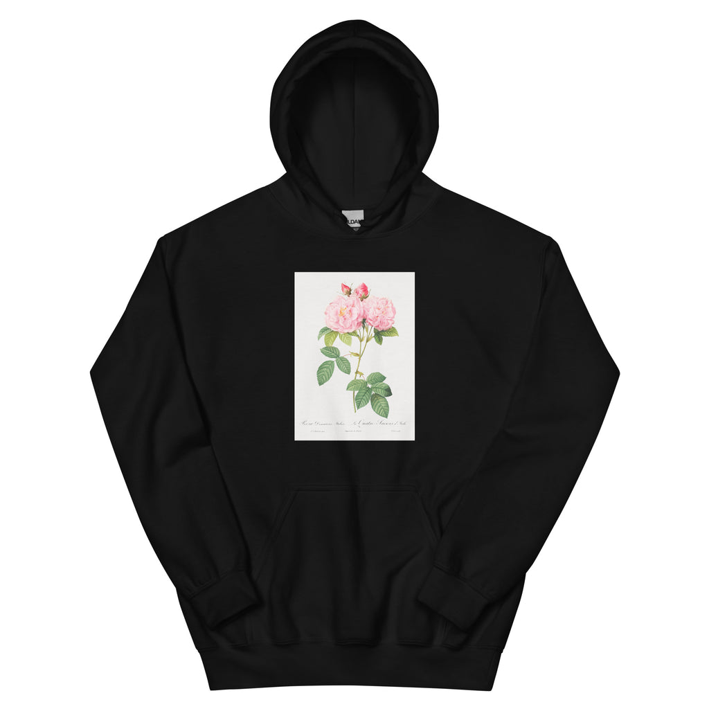 Black Hoodie Italian Damask Rose Also Known As The Four Seasons Of Italy Rosa Damascena Italica Essential