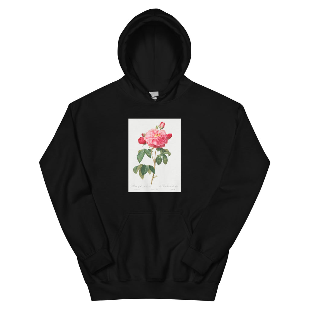 Black Hoodie Gallic Rose Also Known As The Duchess Of Orleans Rosa Gallica Aurelianensis Essential