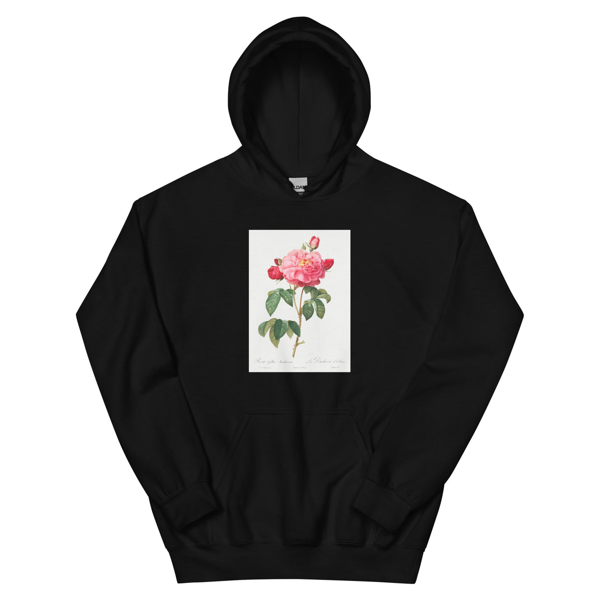 Black Hoodie Gallic Rose Also Known As The Duchess Of Orleans Rosa Gallica Aurelianensis Essential