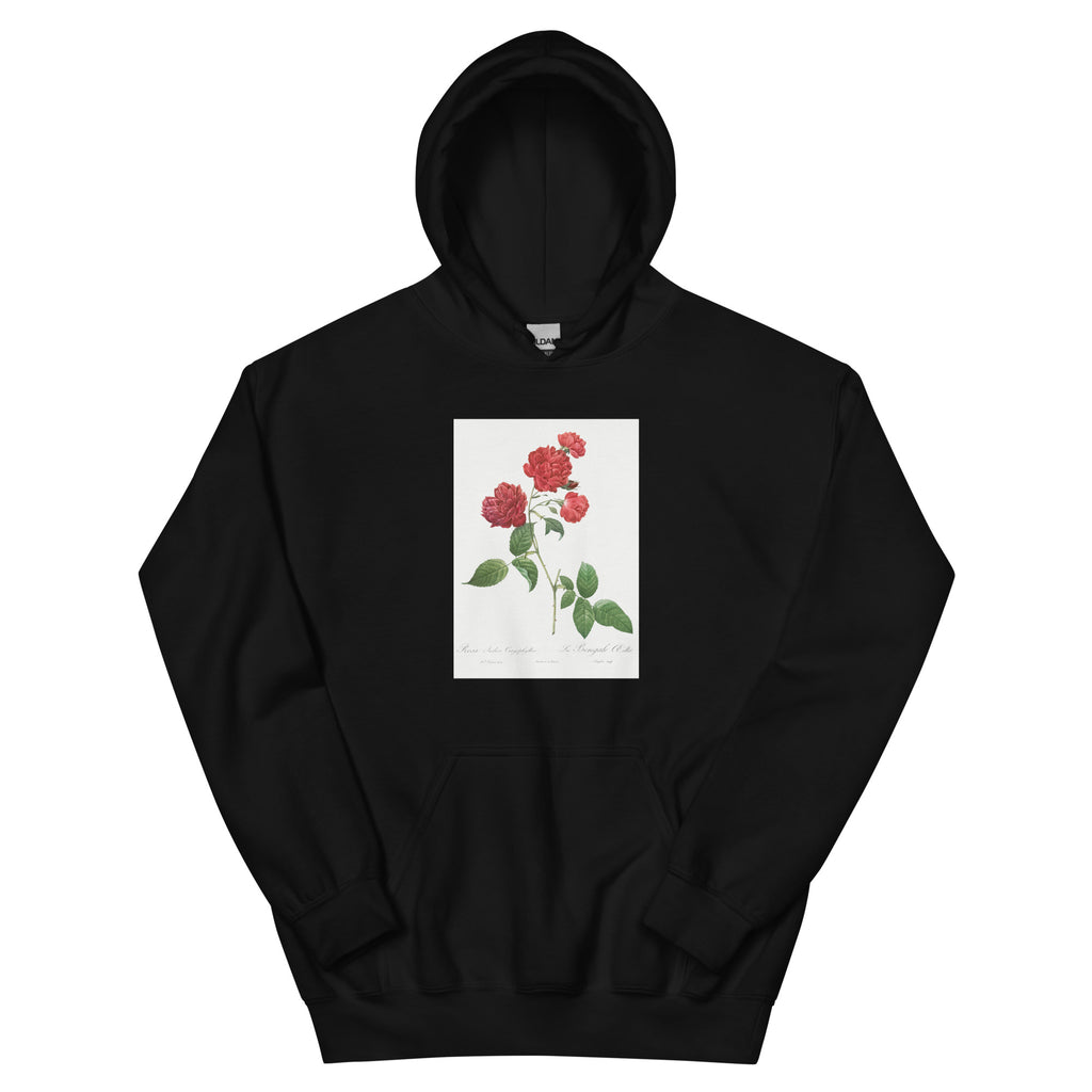 Black Hoodie Red Cabbage Rose Also Known As Bengal Eyelet Rosa Indica Caryophyllea - Pierre-Joseph Redoute Original From The Library Of Congress 1817 Essential