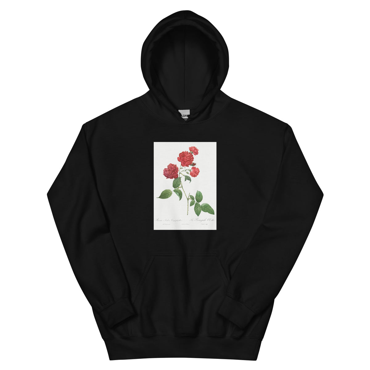Black Hoodie Red Cabbage Rose Also Known As Bengal Eyelet Rosa Indica Caryophyllea - Pierre-Joseph Redoute Original From The Library Of Congress 1817 Essential