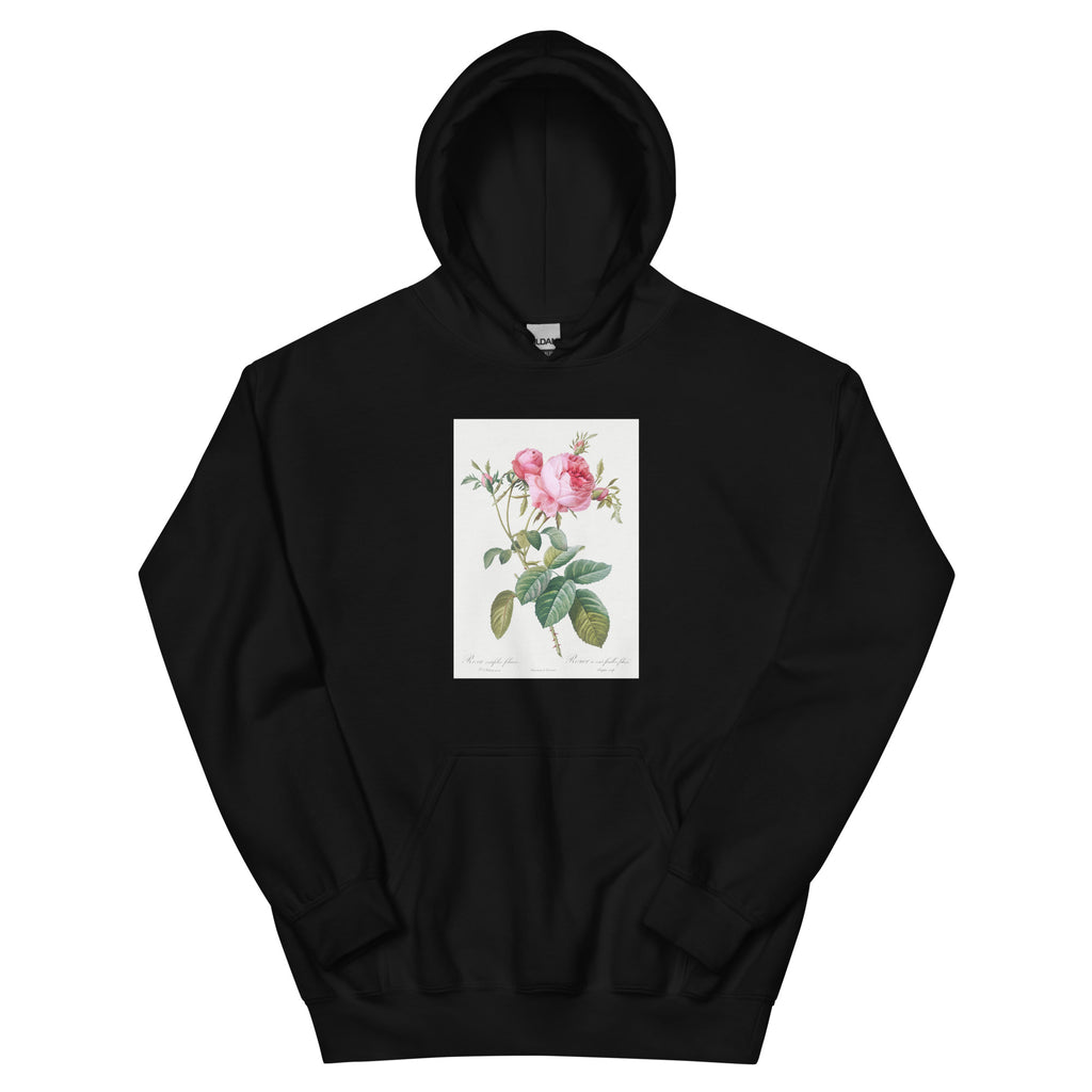 Black Hoodie Rose De Mai Rosa Centifolia Foliacea Essential