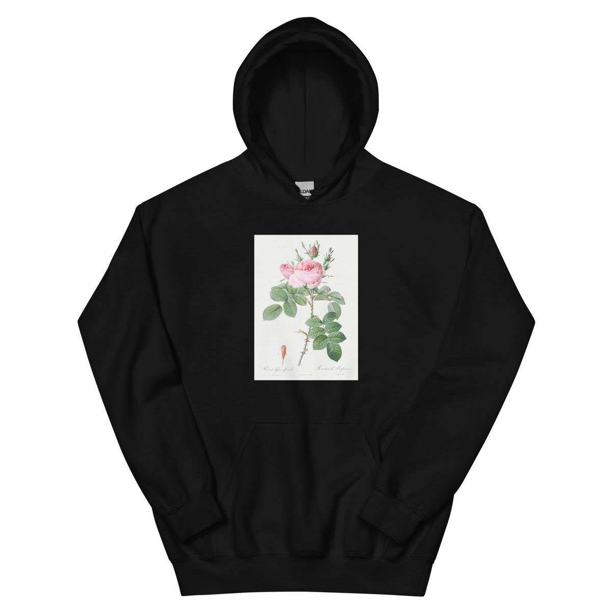 Black Hoodie Rosa Bifera Officinalis Also Known As Rose Of Perfume Essential