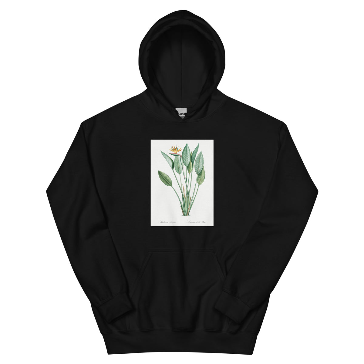 Black Hoodie Bird Of Paradise Illustration II Essential