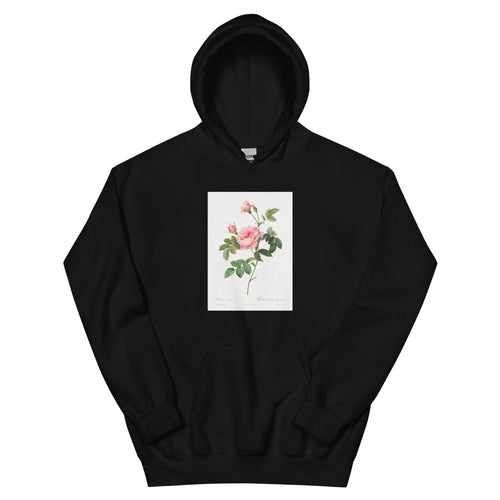 Black Hoodie Boursault Rose Also Known As Rose Turbine Without Thorns Rosa Inermis Essential
